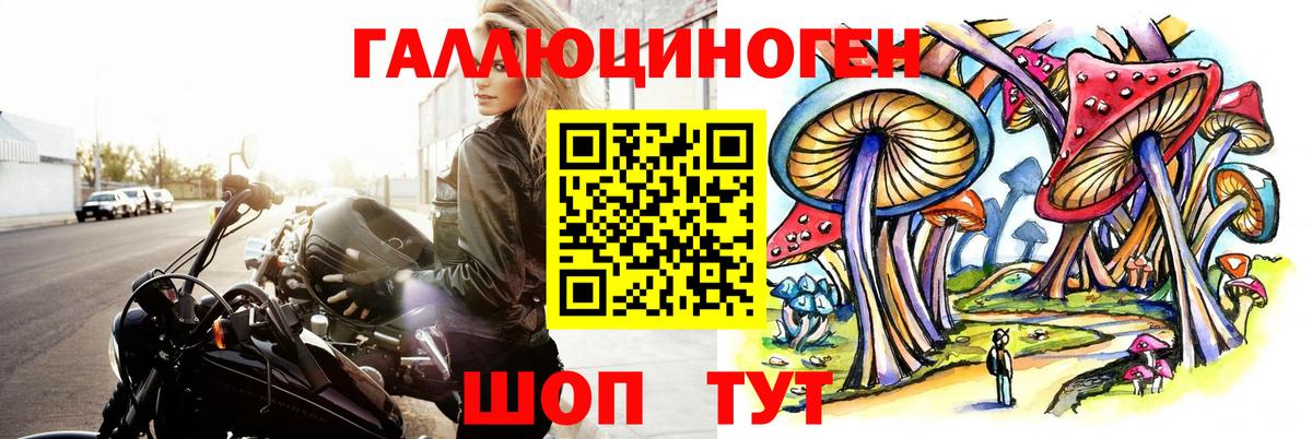 Псилоцибиновые грибы Cubensis Видное