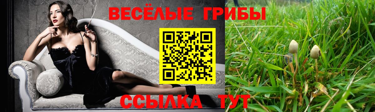 Псилоцибиновые грибы Cubensis  где купить   Видное  Псилоцибиновые грибы GOLDEN TEACHER  Вход с VPN 